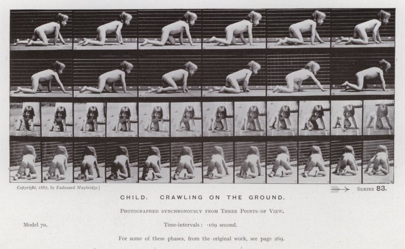 La Figura Umana in Movimento: Bambino, gattonando a terra da Eadweard Muybridge