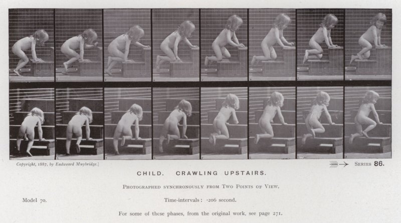Figura umana in movimento: Bambino che gattona su per le scale da Eadweard Muybridge