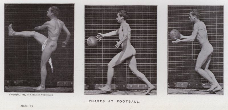 Figura umana in movimento: Fasi nel calcio da Eadweard Muybridge