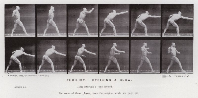 La figura umana in movimento: Pugile, colpo da Eadweard Muybridge