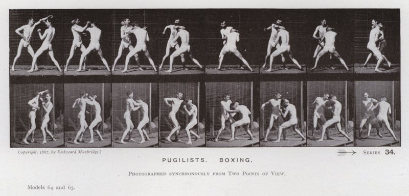 Figura umana in movimento: Pugili che boxano da Eadweard Muybridge