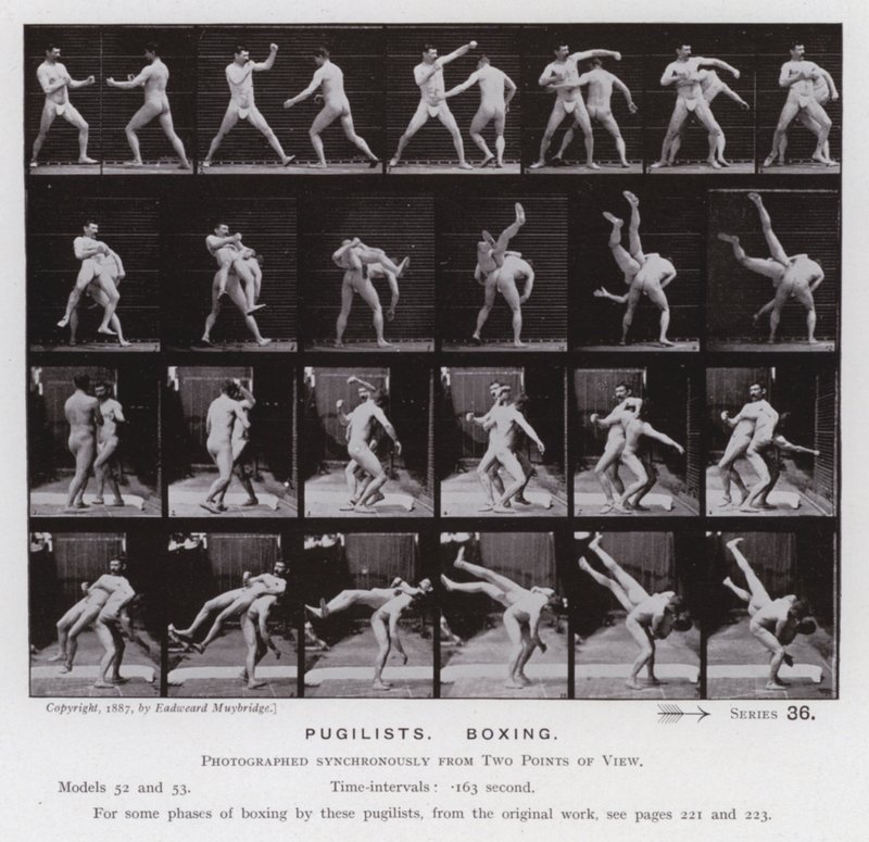 La figura umana in movimento: Pugili, boxe da Eadweard Muybridge