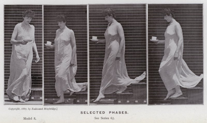 Figura umana in movimento: Fasi selezionate da Eadweard Muybridge