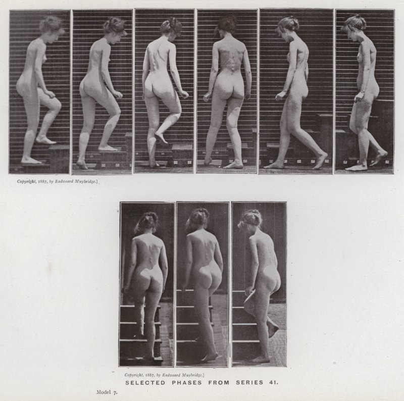 Figura umana in movimento: Fasi selezionate dalla serie 41 da Eadweard Muybridge