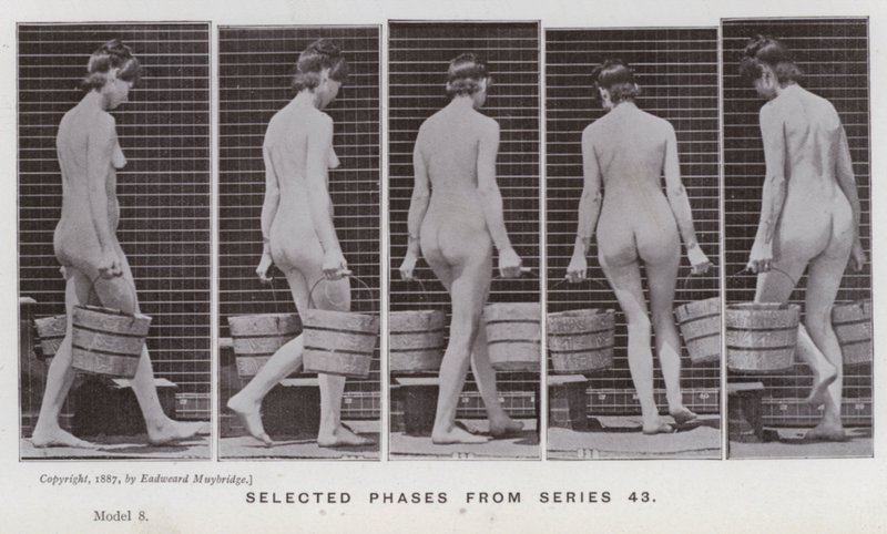 La figura umana in movimento: Fasi selezionate dalla serie 43 da Eadweard Muybridge