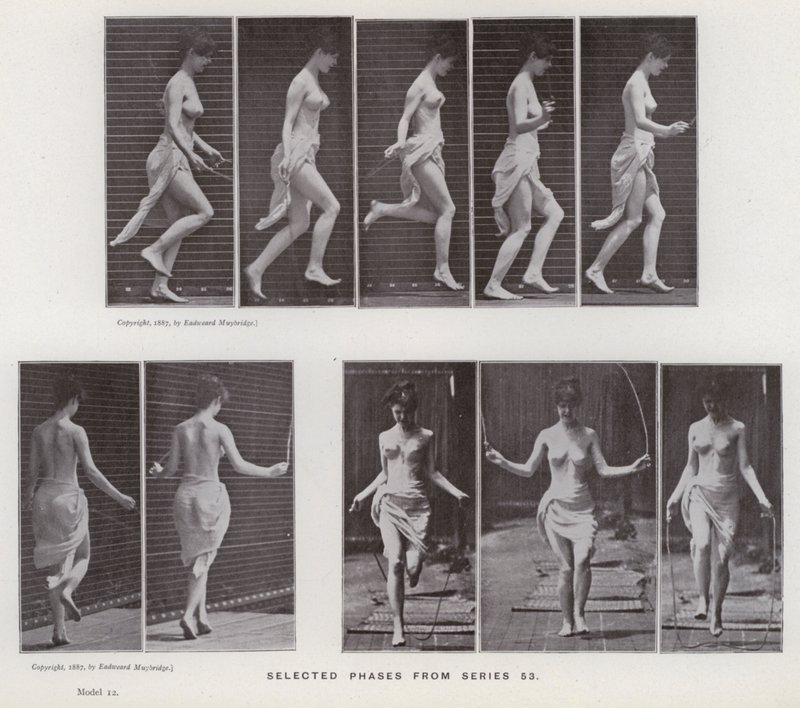 La figura umana in movimento: Fasi selezionate dalla serie 53 da Eadweard Muybridge