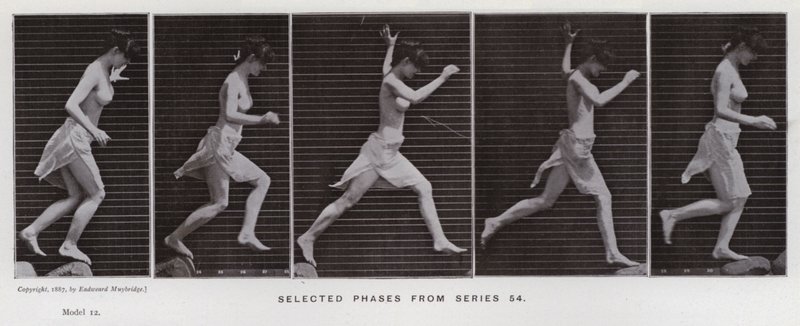 La figura umana in movimento: Fasi selezionate dalla serie 54 da Eadweard Muybridge