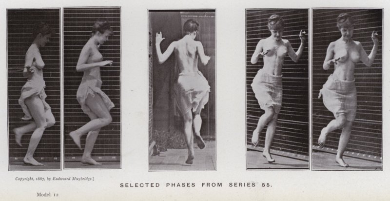 La figura umana in movimento: Fasi selezionate dalla serie 55 da Eadweard Muybridge