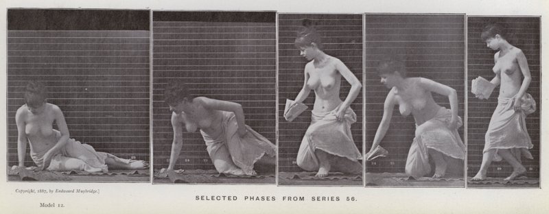 La figura umana in movimento: Fasi selezionate dalla serie 56 da Eadweard Muybridge