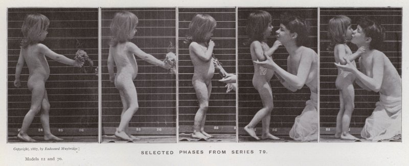 La figura umana in movimento: Fasi selezionate dalla serie 79 da Eadweard Muybridge