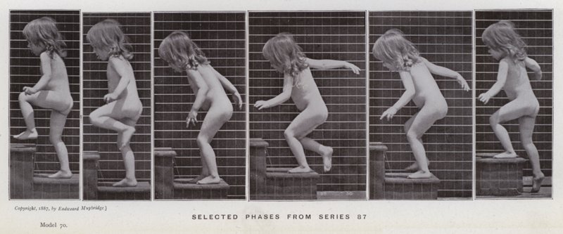 La figura umana in movimento: Fasi selezionate dalla serie 87 da Eadweard Muybridge