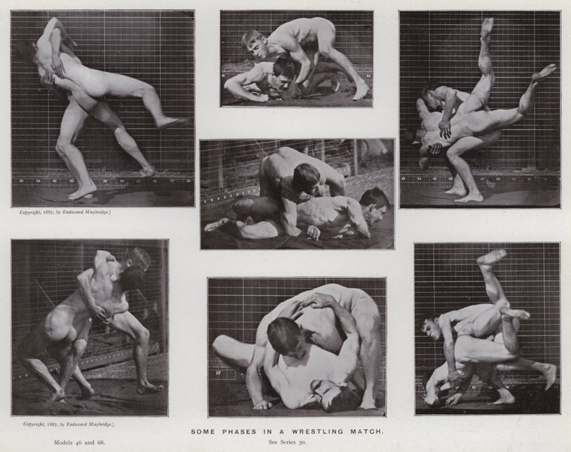 La figura umana in movimento: Alcune fasi in un incontro di lotta da Eadweard Muybridge
