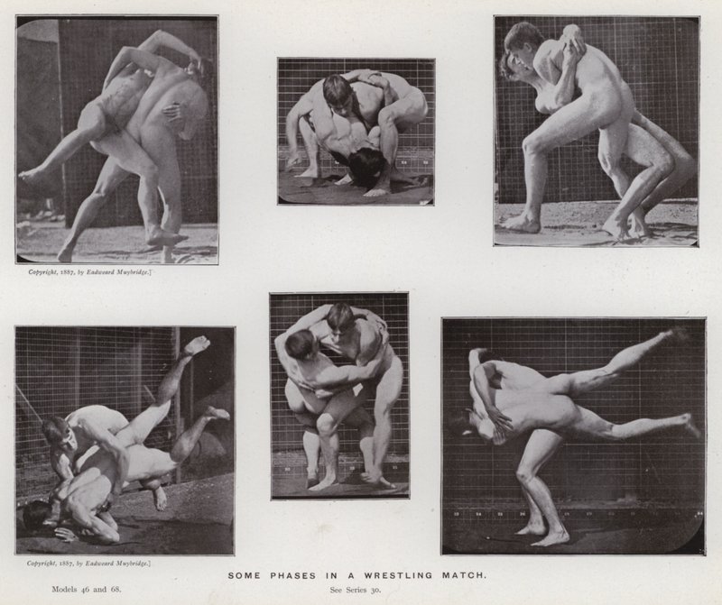 La figura umana in movimento: Alcune fasi di un incontro di lotta da Eadweard Muybridge