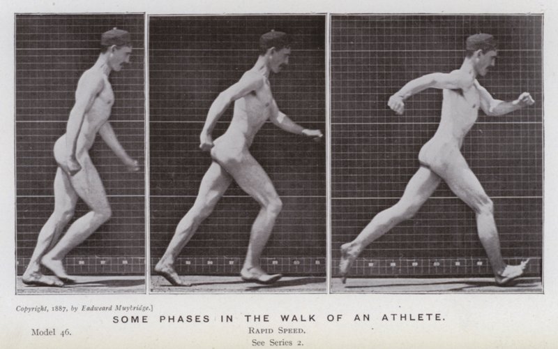 La figura umana in movimento: Alcune fasi della camminata di un atleta da Eadweard Muybridge