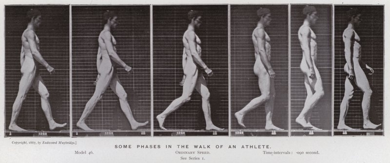 La figura umana in movimento: Alcune fasi nella camminata di un atleta da Eadweard Muybridge