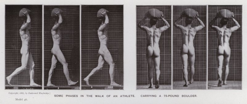 La figura umana in movimento: Alcune fasi nella camminata di un atleta, portando un masso di 75 libbre da Eadweard Muybridge