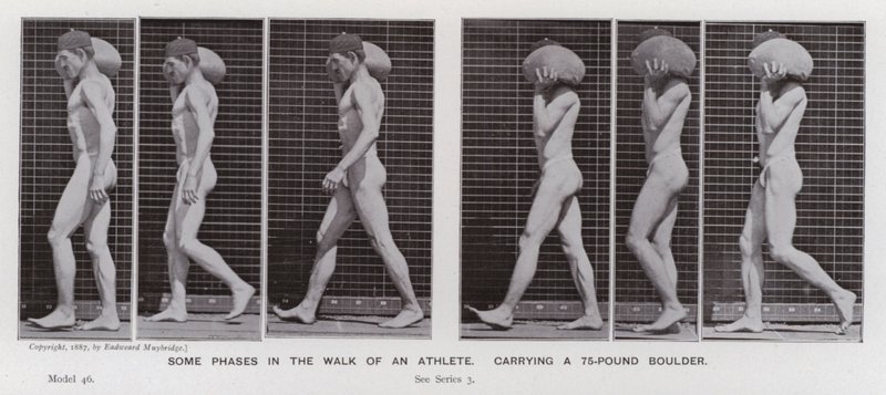 La figura umana in movimento: Alcune fasi della camminata di un atleta, portando un masso di 75 libbre da Eadweard Muybridge