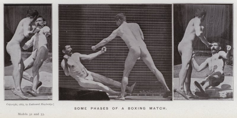 Figura umana in movimento: Alcune fasi di un incontro di boxe da Eadweard Muybridge