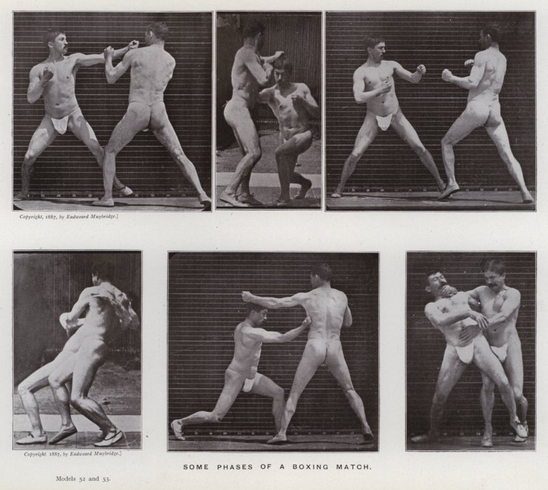 Figura umana in movimento: Alcune fasi di un incontro di boxe da Eadweard Muybridge