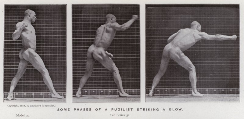 La figura umana in movimento: Alcune fasi di un pugile che colpisce da Eadweard Muybridge