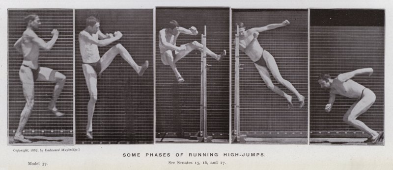Figura umana in movimento: Alcune fasi di salti in alto da Eadweard Muybridge