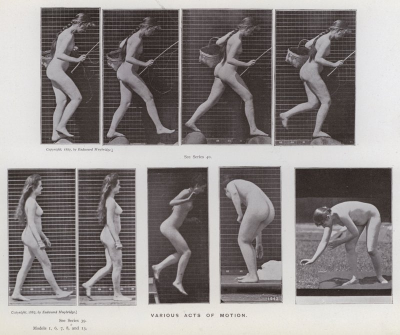 La figura umana in movimento: Vari atti di movimento da Eadweard Muybridge
