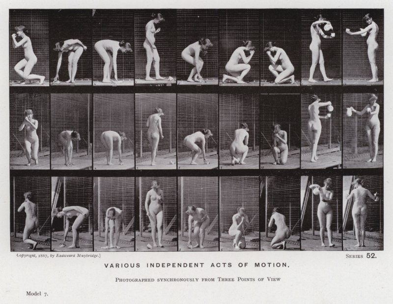 La figura umana in movimento: Vari atti indipendenti di movimento da Eadweard Muybridge
