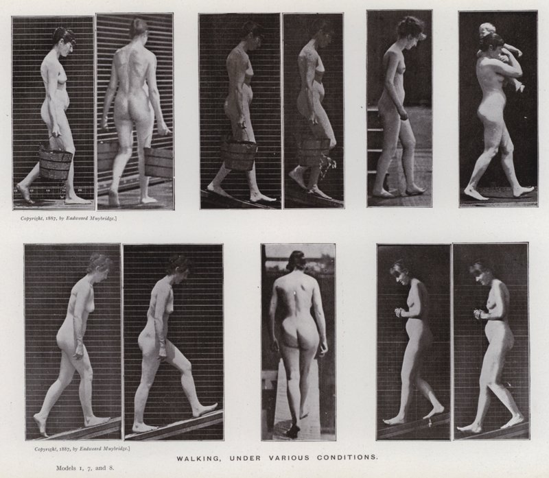 La figura umana in movimento: Camminare, in varie condizioni da Eadweard Muybridge
