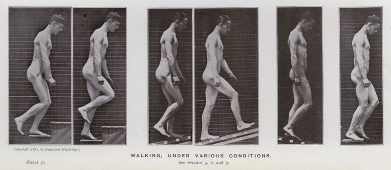 Figura umana in movimento: Camminare in varie condizioni da Eadweard Muybridge