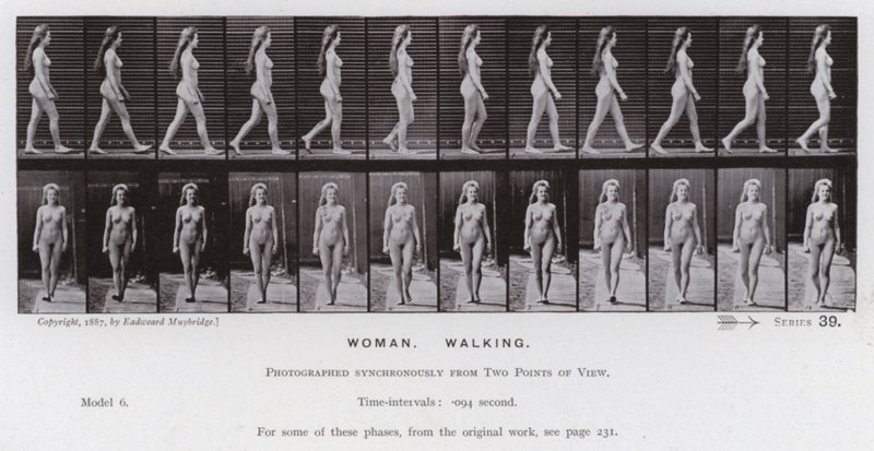 La figura umana in movimento: Donna, Camminando da Eadweard Muybridge