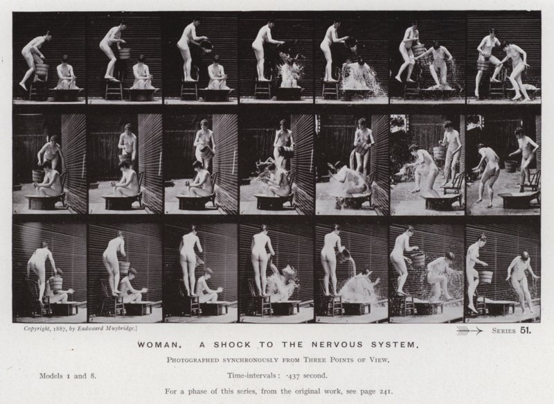 La figura umana in movimento: Donna, uno shock al sistema nervoso da Eadweard Muybridge
