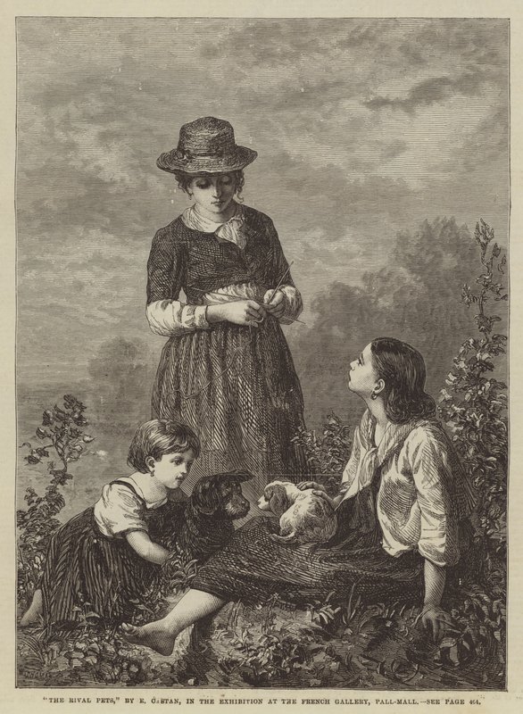 Gli animali domestici rivali, nell