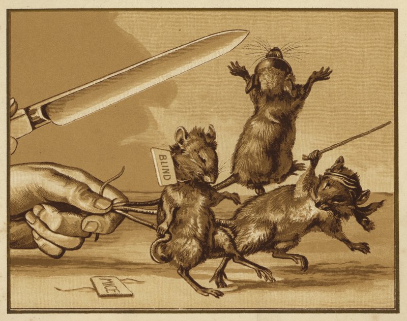 Illustrazione per Tre topi ciechi da Edmund G. Caldwell