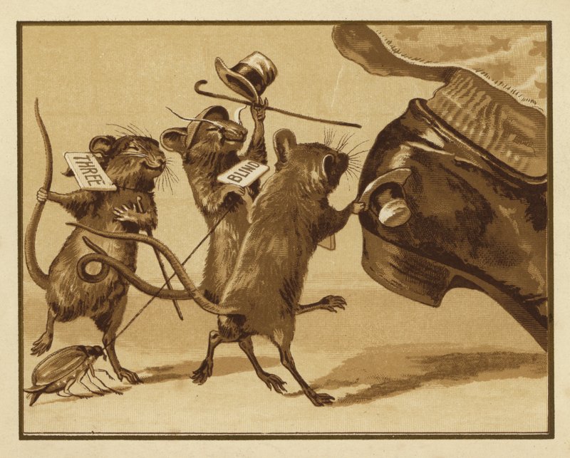 Illustrazione per Tre topolini ciechi da Edmund G. Caldwell