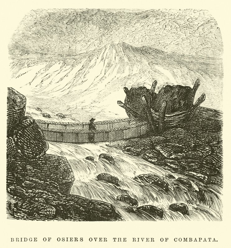 Ponte di vimini sul fiume di Combapata da Edouard Riou