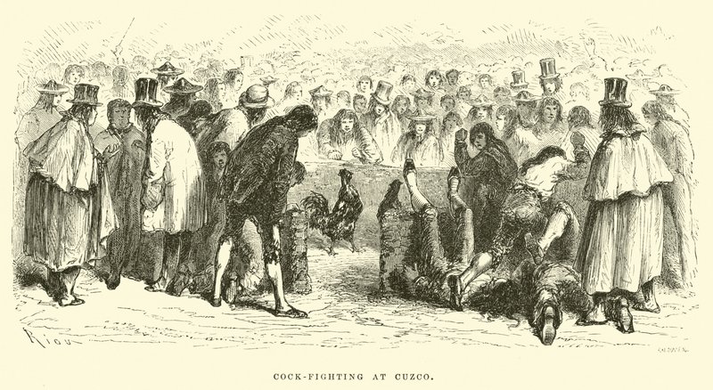 Combattimento di galli a Cuzco da Edouard Riou