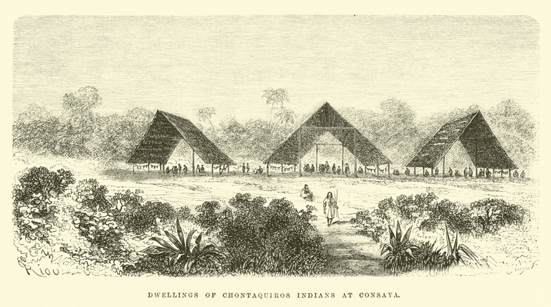 Abitazioni degli indiani Chontaquiros a Consaya da Edouard Riou