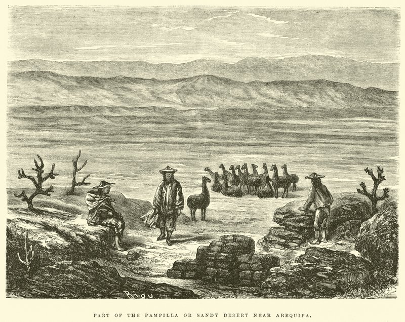 Parte del deserto di Pampilla o sabbioso vicino ad Arequipa da Edouard Riou