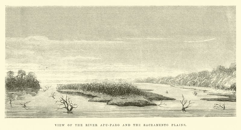 Veduta del fiume Apu-Paro e delle pianure di Sacramento da Edouard Riou