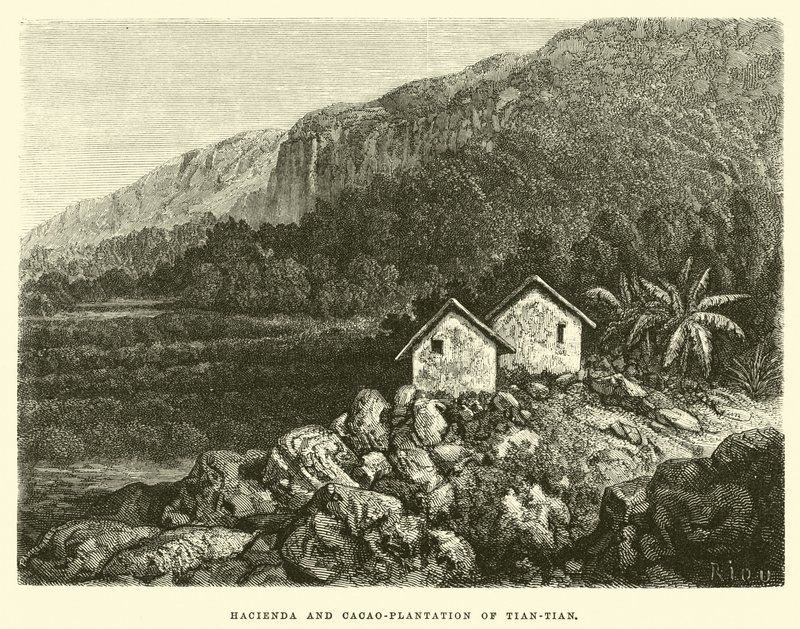 Hacienda e piantagione di cacao di Tian-tian da Edouard Riou