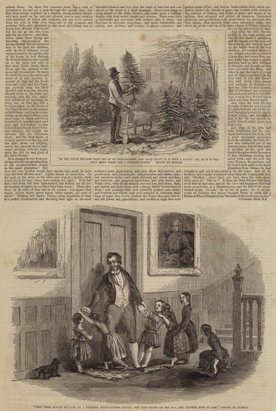 Illustrazioni per L