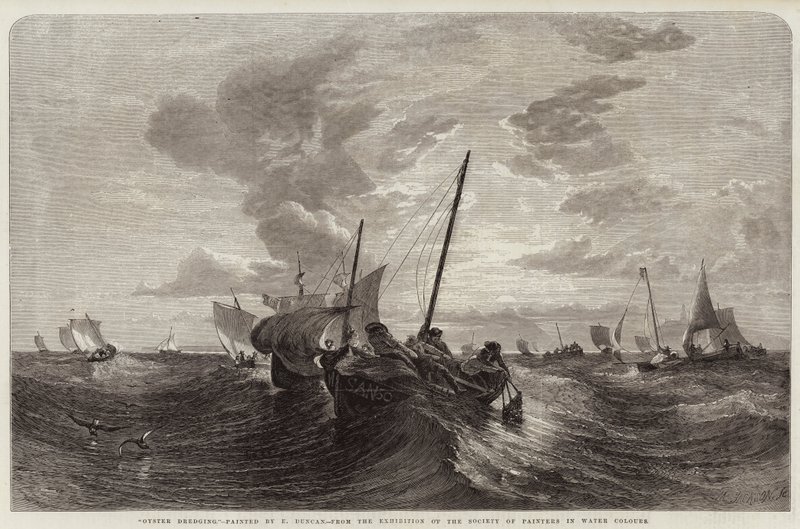 Raccolta di ostriche da Edward Duncan