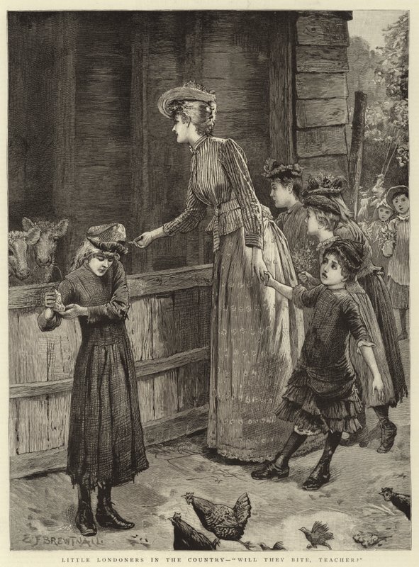 Piccoli Londinesi in Campagna, morderanno, insegnante da Edward Frederick Brewtnall