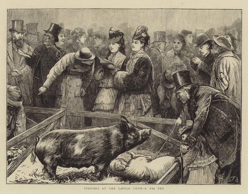 Visitatori alla mostra del bestiame, un recinto per maiali da Edward Frederick Brewtnall