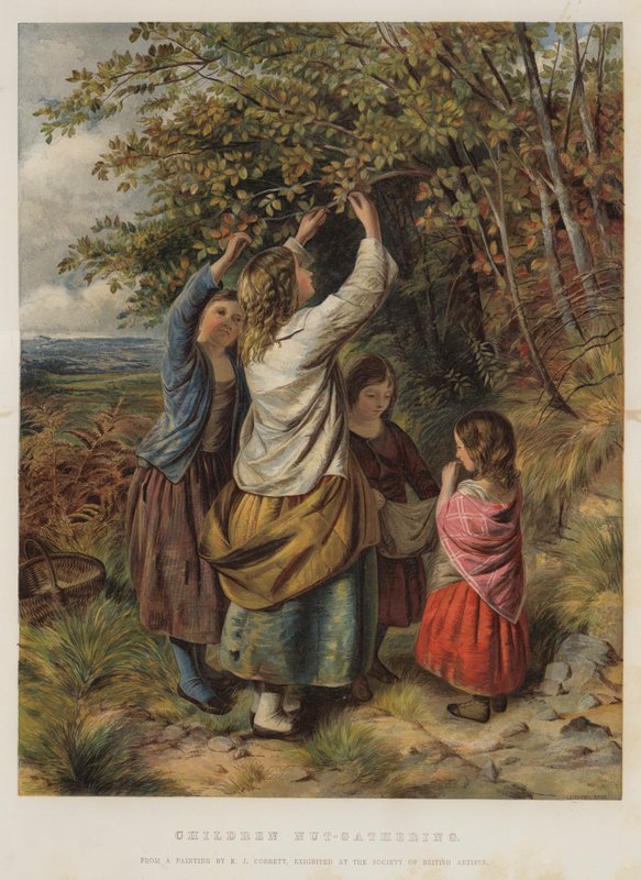 Bambini che Raccolgono Noci da Edward John Cobbett