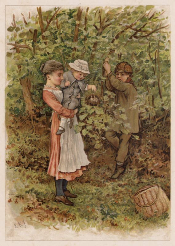 Flapsy e Pecksy da Edward Killingworth Johnson