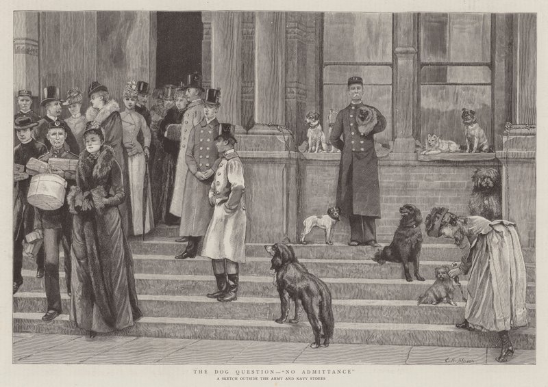 La questione del cane, nessuna ammissione da Edward Killingworth Johnson