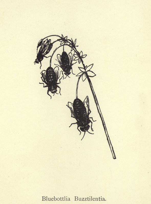 Bluebottlia Buzztilentia da Edward Lear