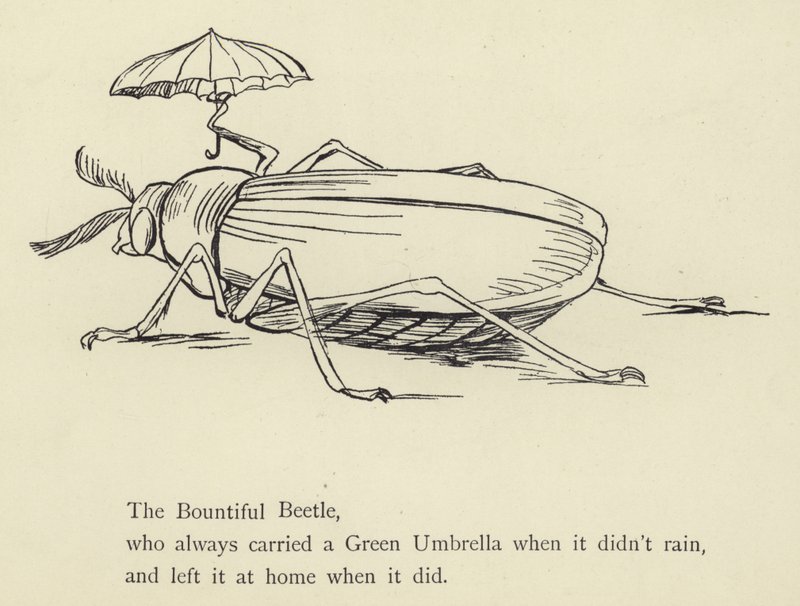 Il coleottero generoso da Edward Lear