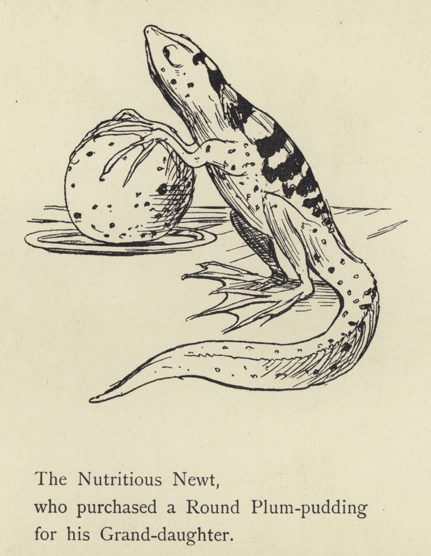Il tritone nutriente da Edward Lear